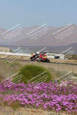 media/Feb-04-2023-SoCal Trackdays (Sat) [[8a776bf2c3]]/Turn 15 Inside Blooming (1050am)/